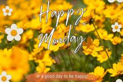 Monday, motivational quote, good day, flowers instagram post - 1