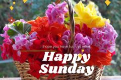 Yellow Red and Brown Flower Autumn Simple Happy Sunday Facebook Post - 1