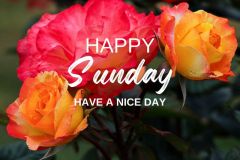 Happy Sunday (Facebook Post) - 1