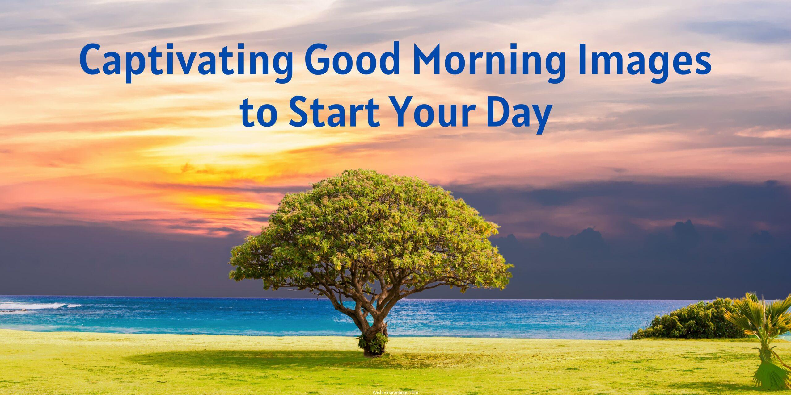 Captivating Good Morning Images to Start Your Day