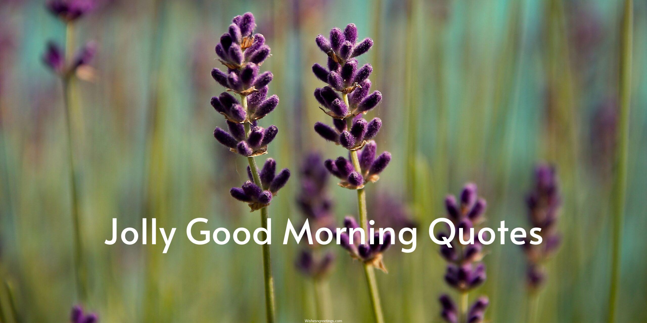 jolly good morning quotes