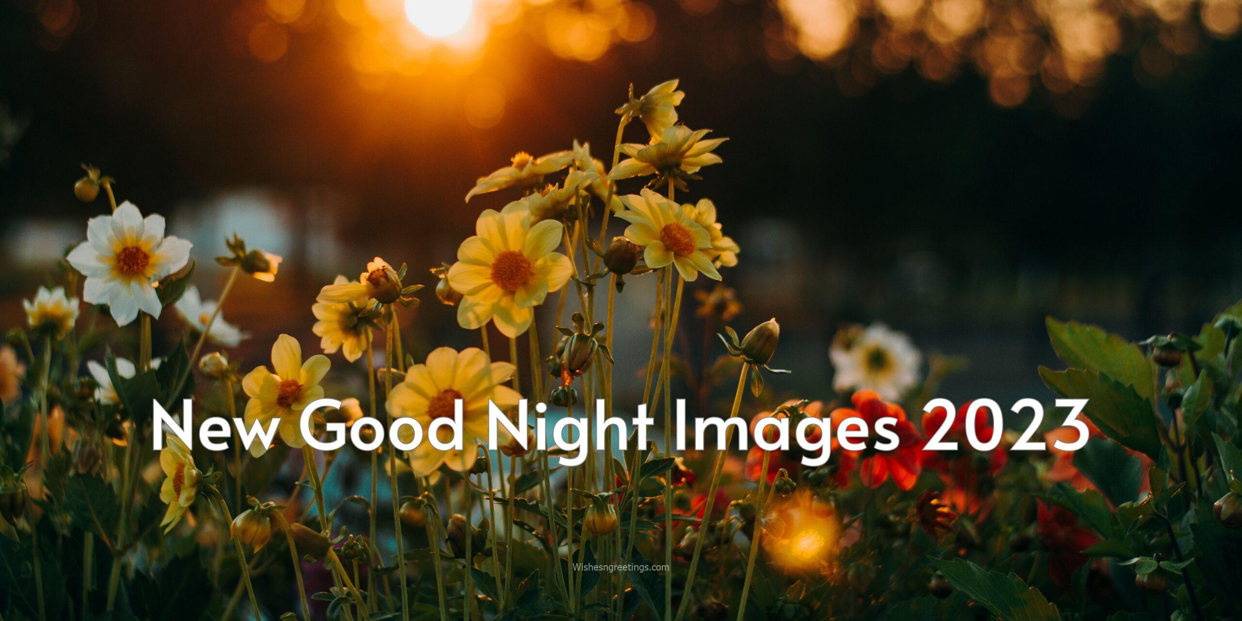 new good night images 2023 featured banner